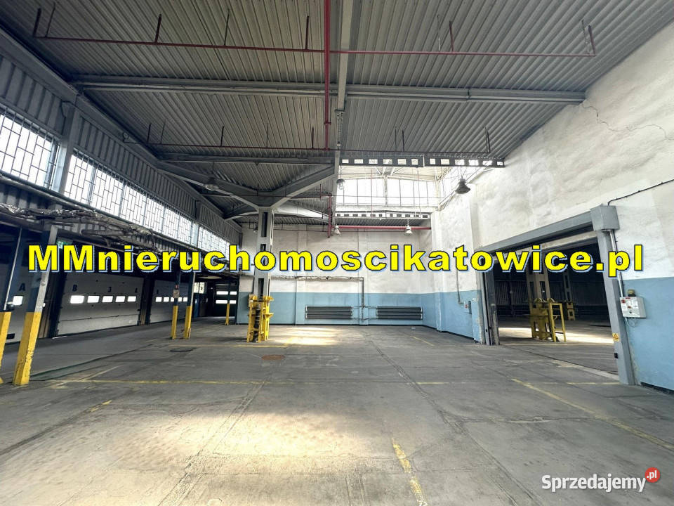 Magazyny do wynajęcia Sosnowiec do 4000 m2 rampy