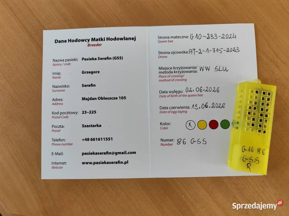 ręki Unasiennione matki pszczele car SKLENAR Pszczelarstwo Wolinia sprzedam