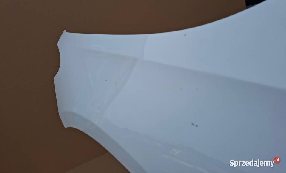 MERCEDES BKLASA W247 BŁOTNIK LEWY PRZÓD ORYGINAŁ Błotniki Części samochodowe Kargowa