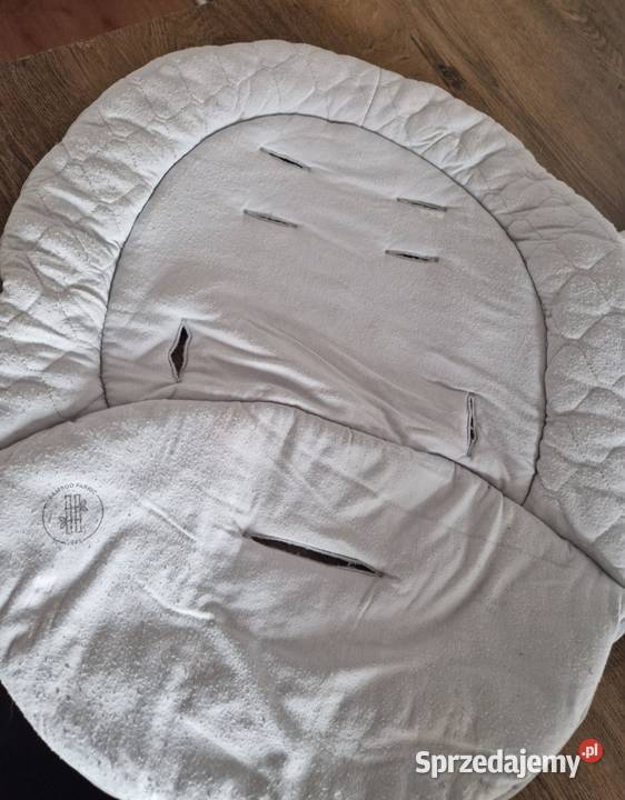 Bujaczek Lionello Bella Tczew