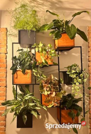 Kwietnik wiszący Ostrowiec Świętokrzyski