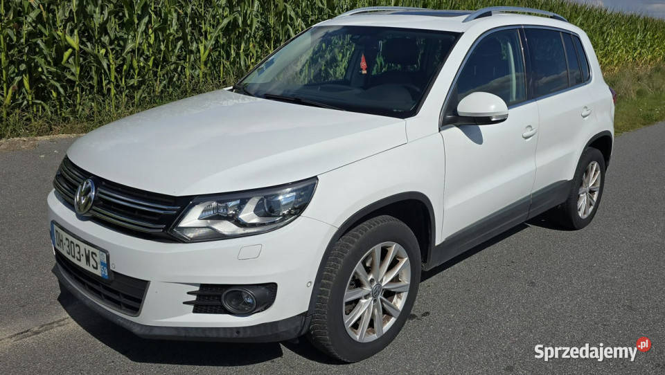 Volkswagen Tiguan 4x4 full stan b I 20072016 przyciemniane szyby Pleszew
