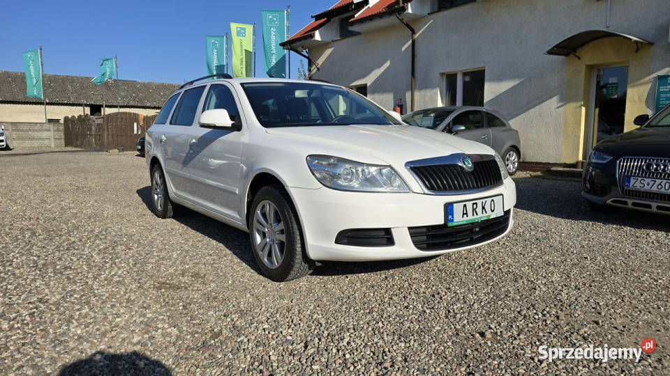 koda Octavia 20 TDI Serwis II 20042013 klimatyzacja Zieleniewo