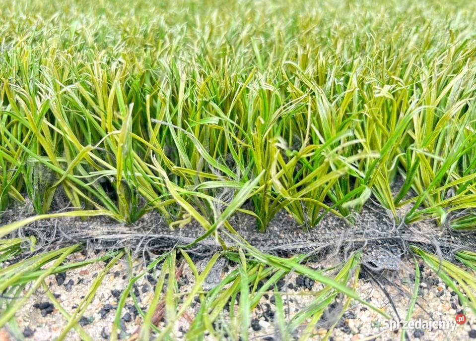 Sztuczna trawa piłkarskaProdukt premium Warszawa