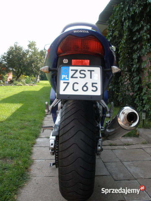 honda cbr 600 F4 99 Niedźwiedź