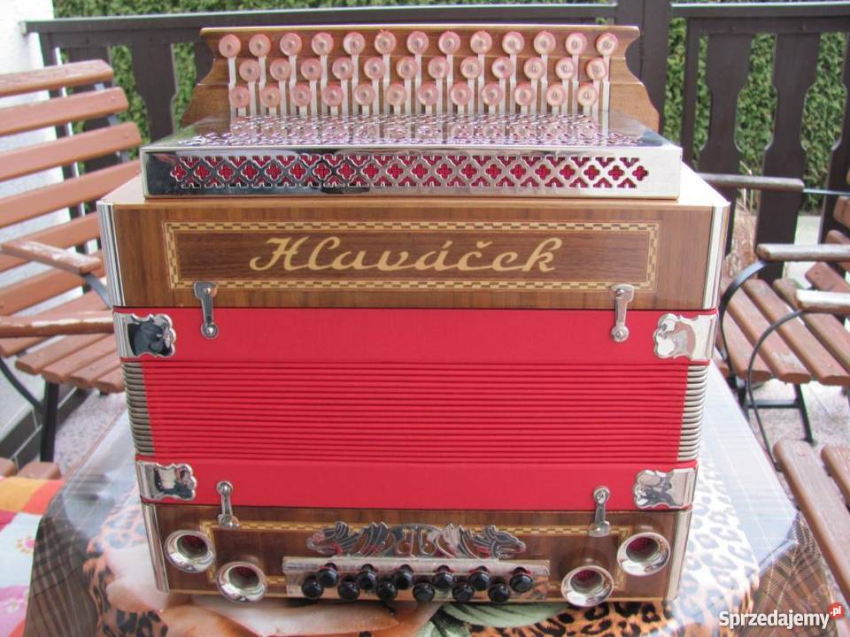 Harmonia guzikówka Hlavacek idealny stan żywiec Żywiec