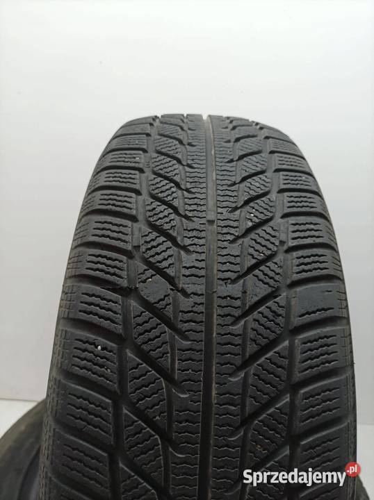 2x OPONA ZIMOWA GOODRIDE SW608 20555R16