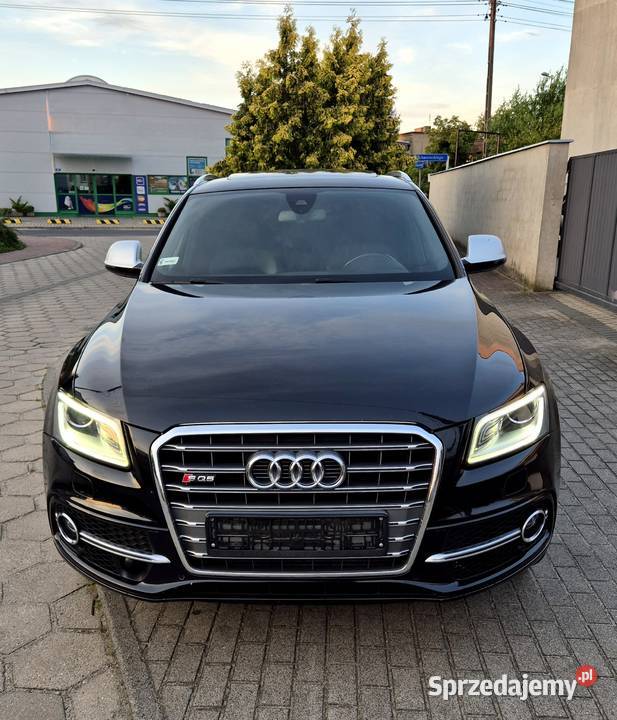 Audi SQ5 30 TDI 313 hak