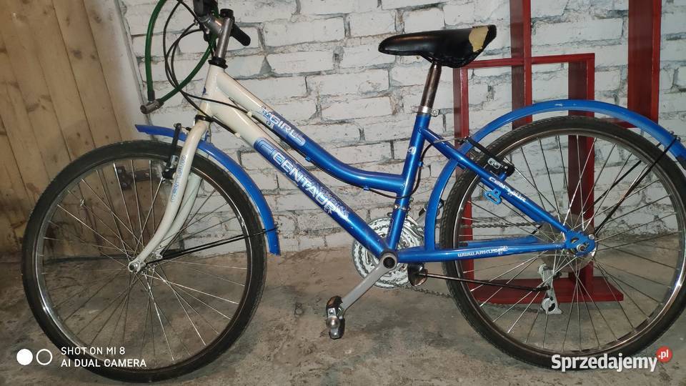 Rower 24 koła Dzierżoniów