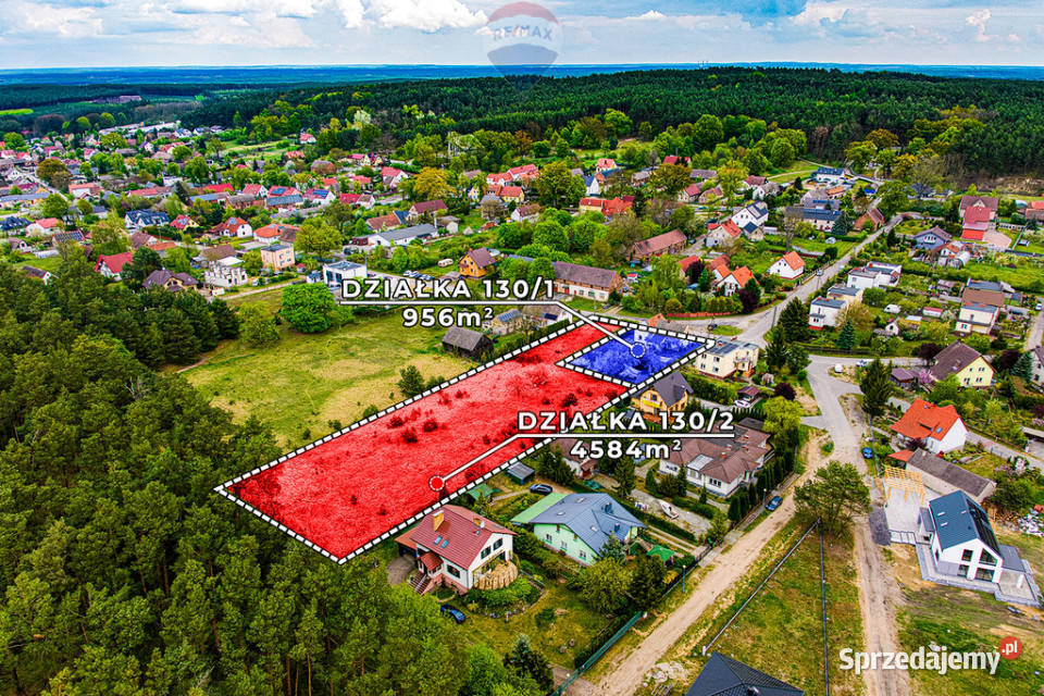 Potencjał inwestycyjny łącznie 5540 m Łężyca lubuskie Zielona Góra sprzedam