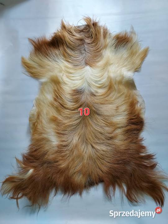 Skóra z Kozy XXL Dekoracyjna Naturalna Skóry Szaflary sprzedam