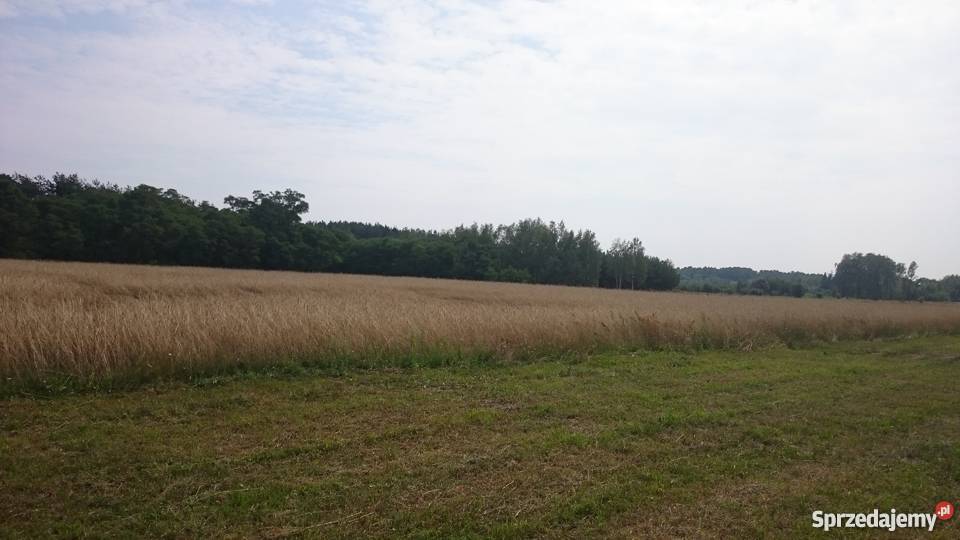 Sprzedam ziemię Ziomaki Sprzedajemy.pl