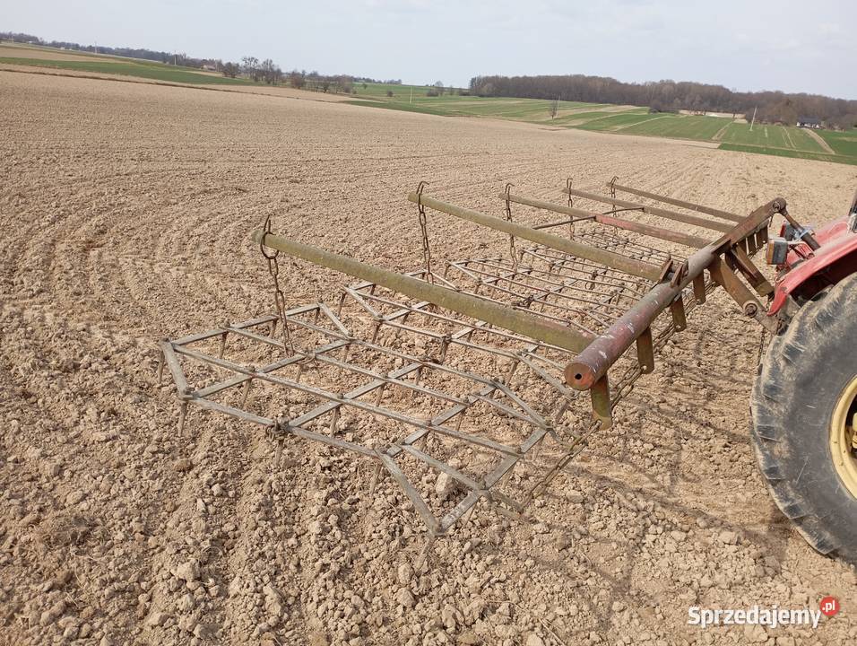 Brony 5 polowe nieuszkodzony Maciejów Stary