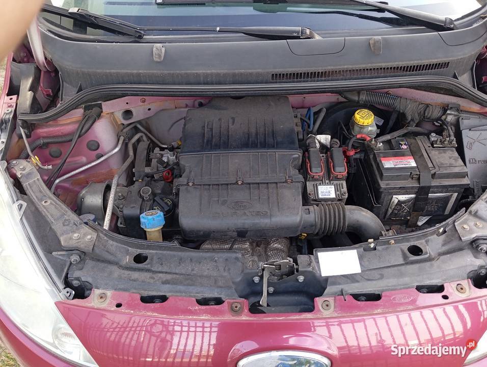Ford KA 13 benzyna niskie spalanie książka KA Samochody osobowe Oborniki