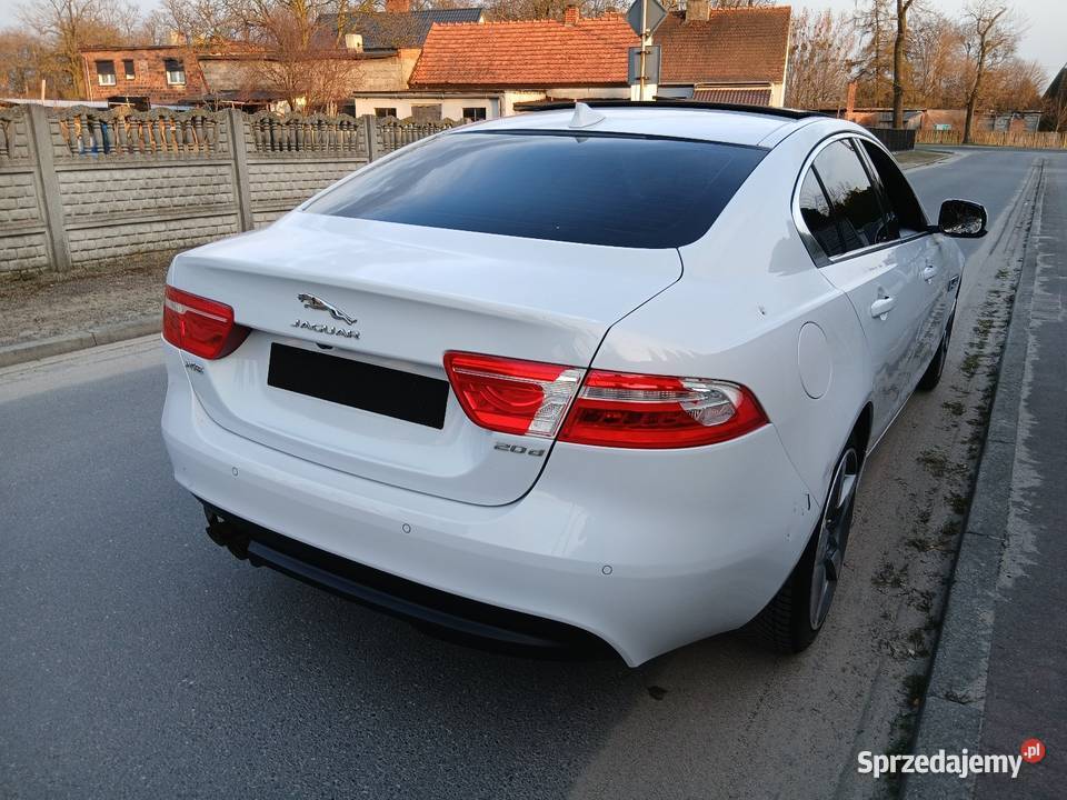Jaguar XE 20 Panoramadach Automat Biała perła z Dobrzyca