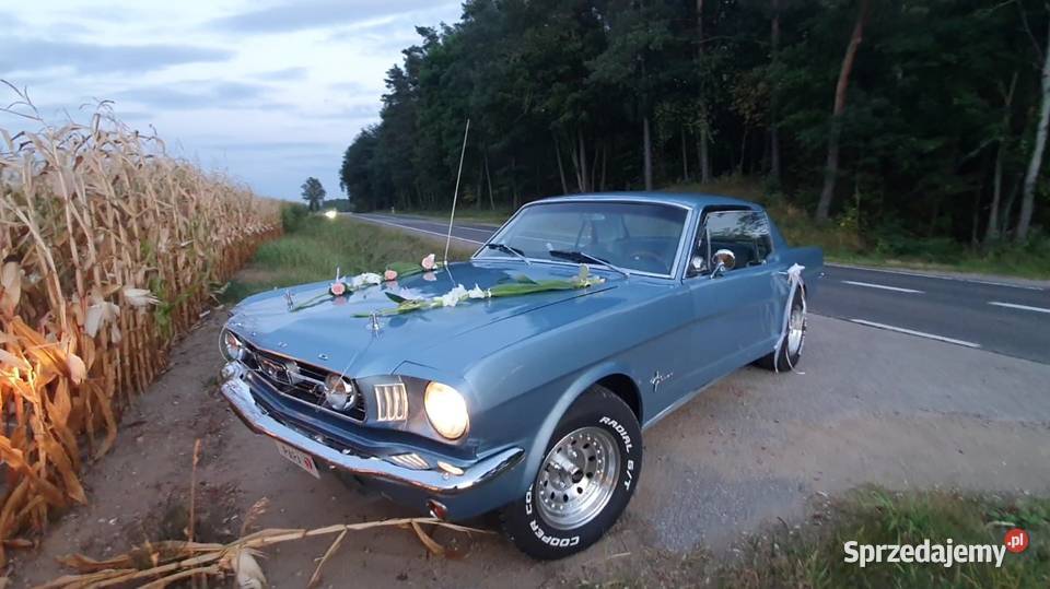 Ford Mustan 66 1966 Szczuczyn