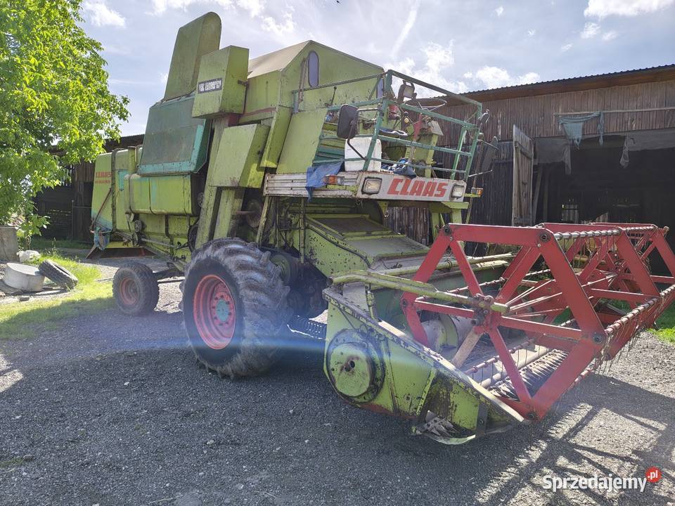 Kombajn Claas Mercator Międzyrzecz
