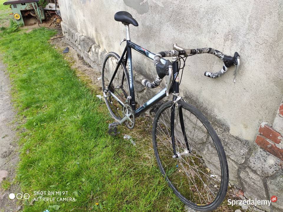 Kolarzówka pinarello campagnolo dolnośląskie Jaźwina sprzedam