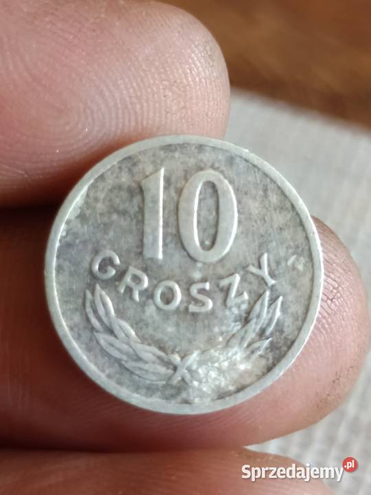 Sprzedam monete 10 groszy 1963 mnkn Chełm sprzedam