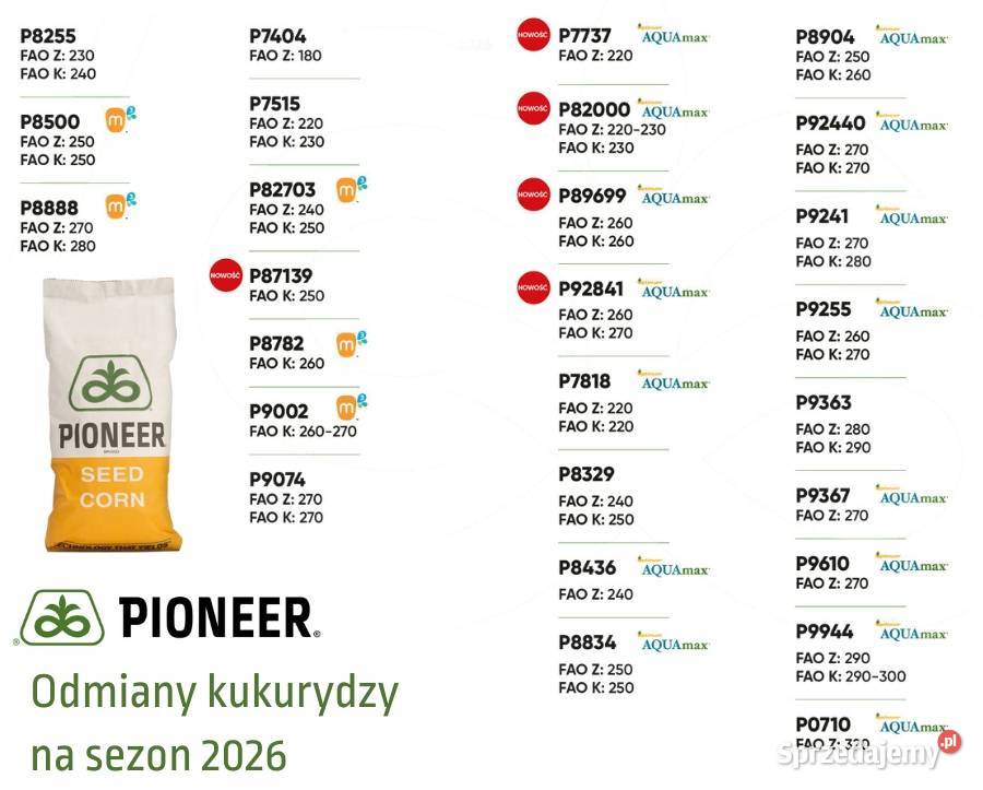 Nasiona kukurydzy Pioneer P82703 FAO Z240K 250 Gniezno