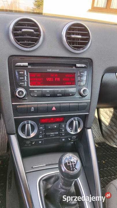 Audi A3 MPI 102 Tarło-Kolonia