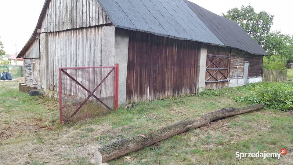 Gospodarstwo rolne z lasem świętokrzyskie Wielka Wieś