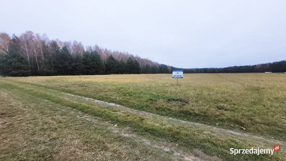 Malownicza działka 122 ha lesie Radawie