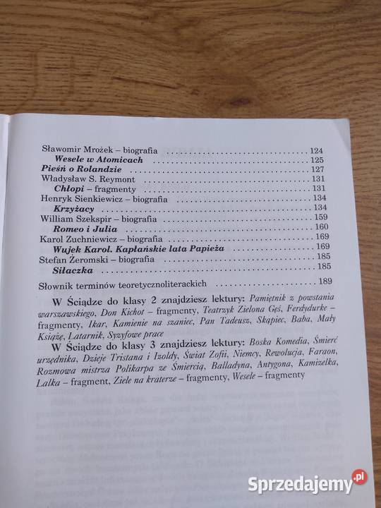 Książka Ściąga streszczenie i analizy lektur Wrocław