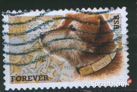 Zn USA Sn 4547 kas 2011 Gliwice