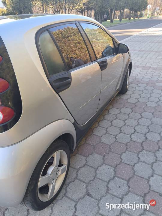 Smart forfour cdi nieuszkodzony Rybnik