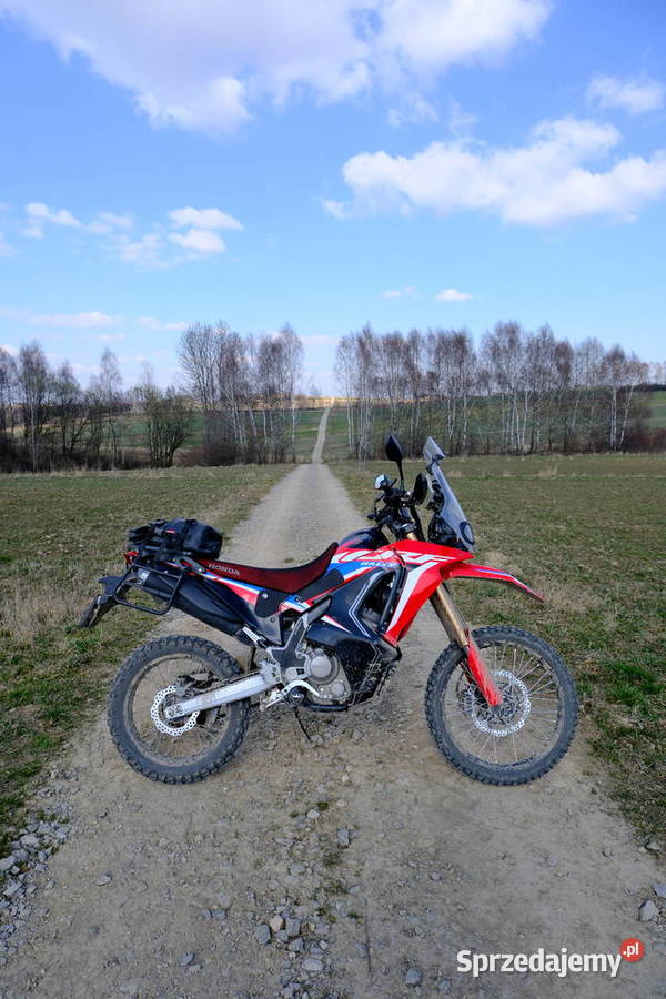 Honda CRF 300 Rally Honda