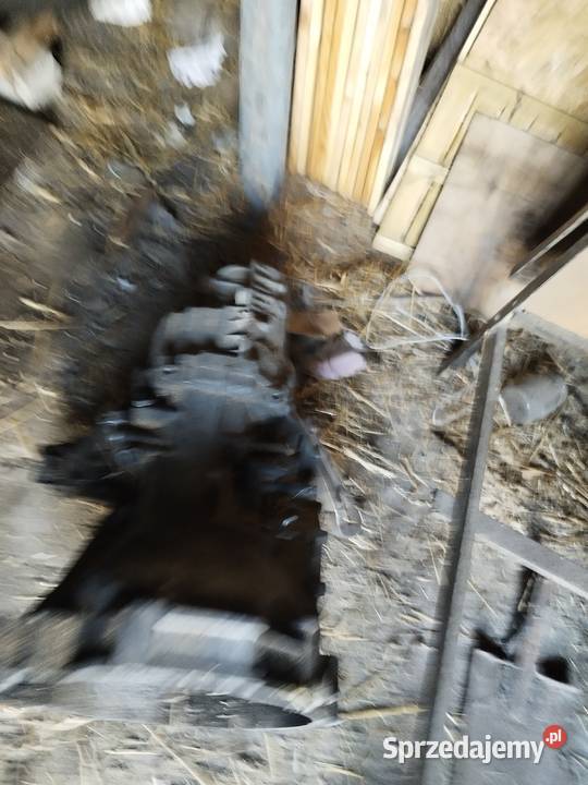 HPE SKRZYNIA BIEGÓW BSS 20 TDI sprzedam