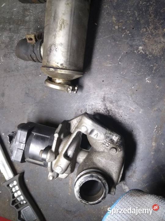 Polo n9 14 egr chłodniczka wielkopolskie Gniezno