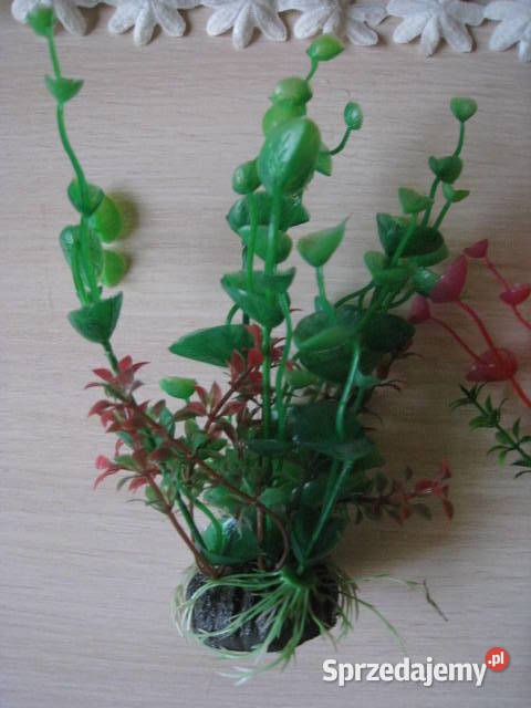 Roślinki akwariowe sztuczne śląskie Częstochowa