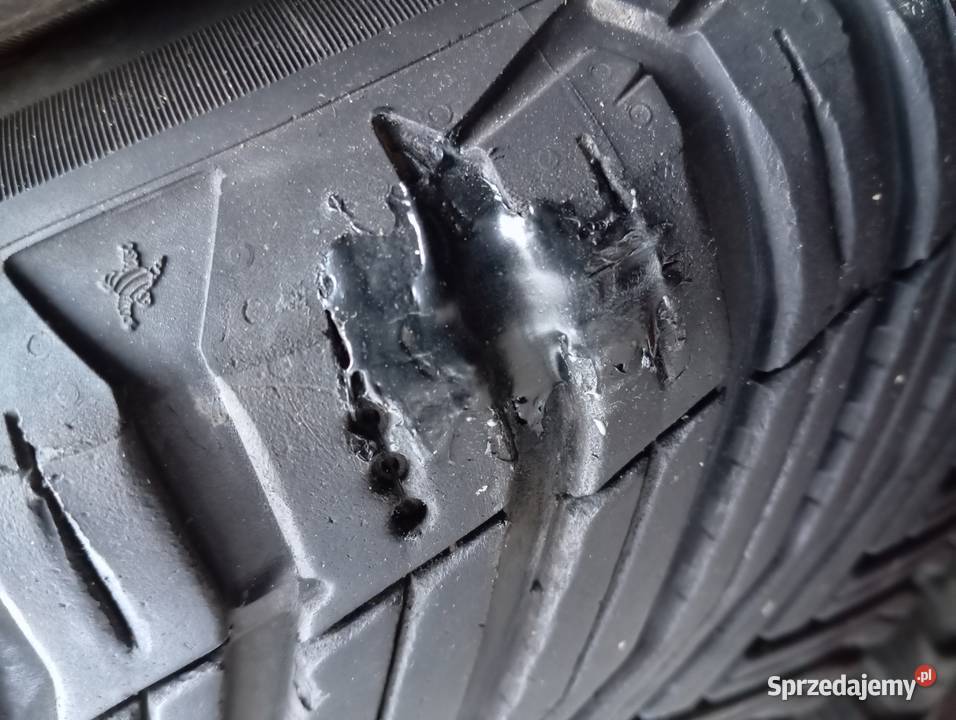Wielosezonowe opony Michelin 2156016 z 2021r Siedlce