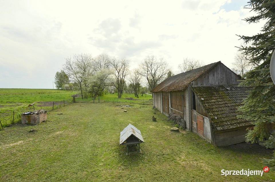 Sprzedam dom z dużą działką w Czelatycach ogródek Czelatyce