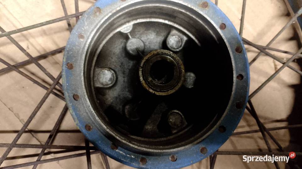 Koło jakwak kaczka Namysłów