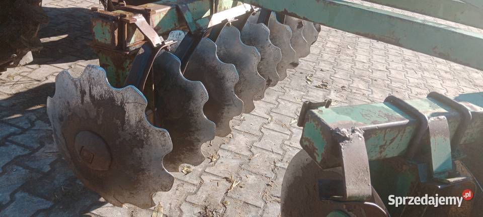 Talerzówka bomet Ciepielewo