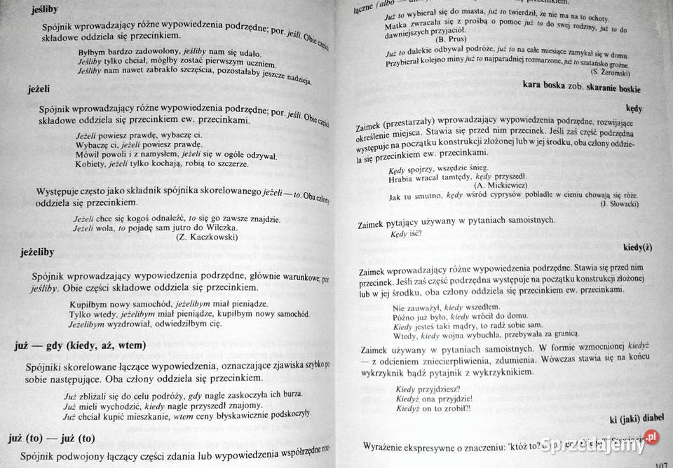 Słownik interpunkcyjny języka polskiego Jerzy Rok wydania 1994 Chełm