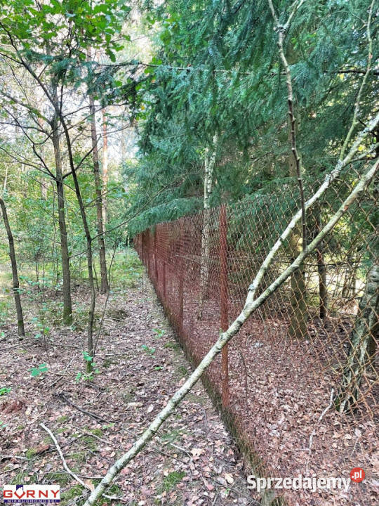 Grunt Łęg Ręczyński 947m2