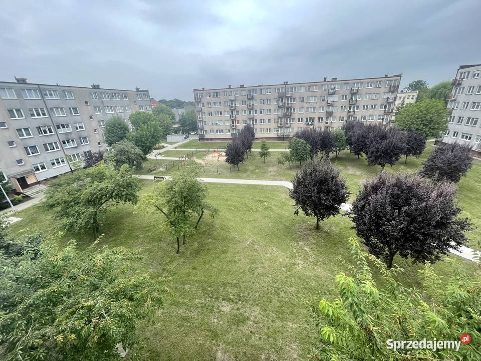 Mieszkanie o pow 39 m2 w Kole Sienkiewicza