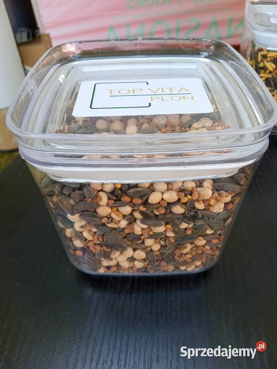 Mieszanka międzyplonowa Top Vita Plon Węglówka