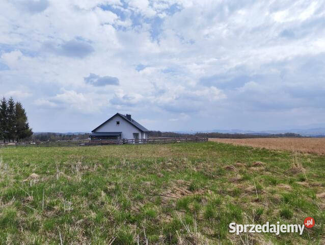 Działka 1592m2 Grudza sprzedam