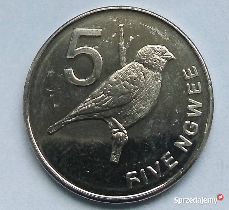 ZAMBIA5 NGWEE2012 r PTAKŁADNA