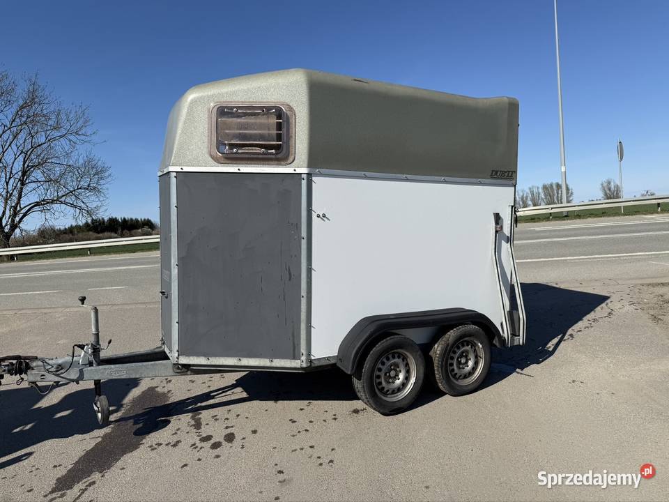 Boeckman 2006 r alupodloga koni 2 Solnica