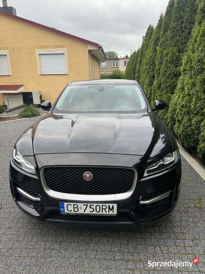 Zadbany Jaguar 20 180 oryginalny przebieg kujawsko-pomorskie