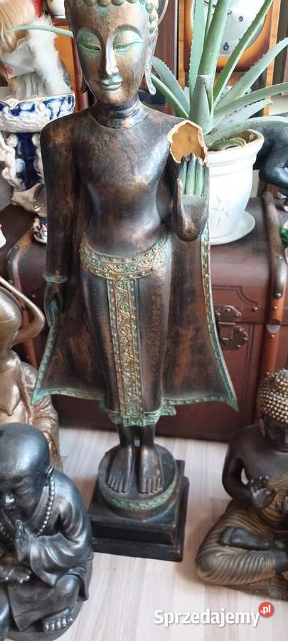 BUDDY CZTERY FIGURY wszystkie 500z wielkopolskie Poznań