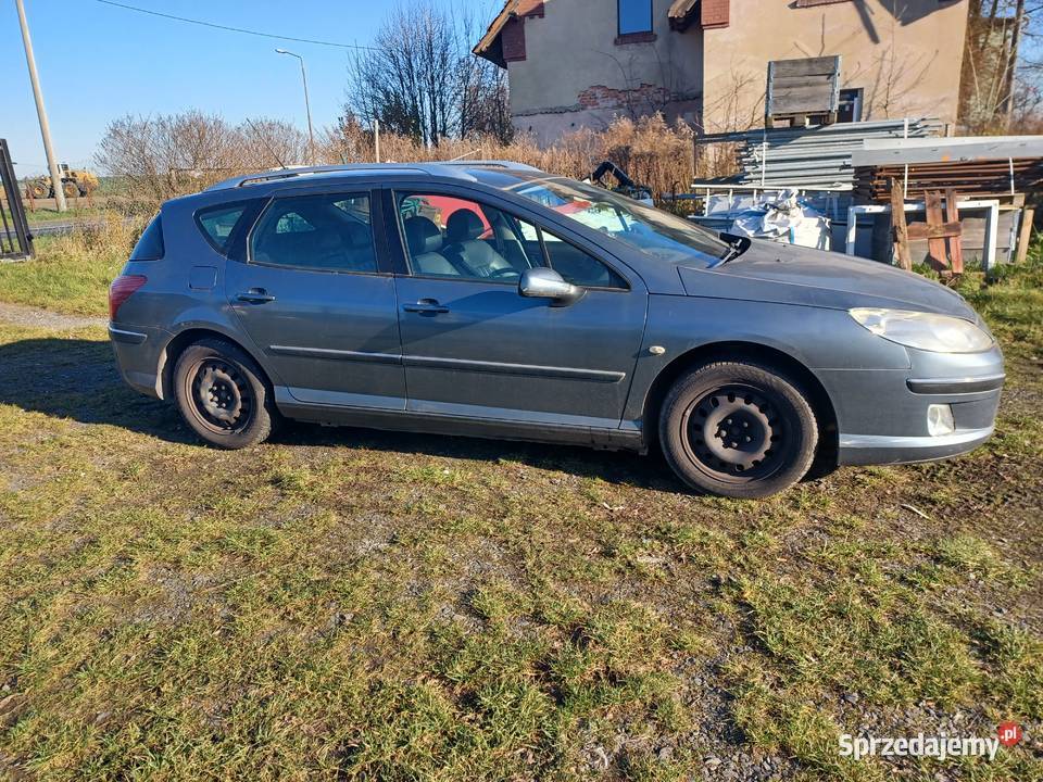 PEUGEOT 407 combi 2007 Wilczyce