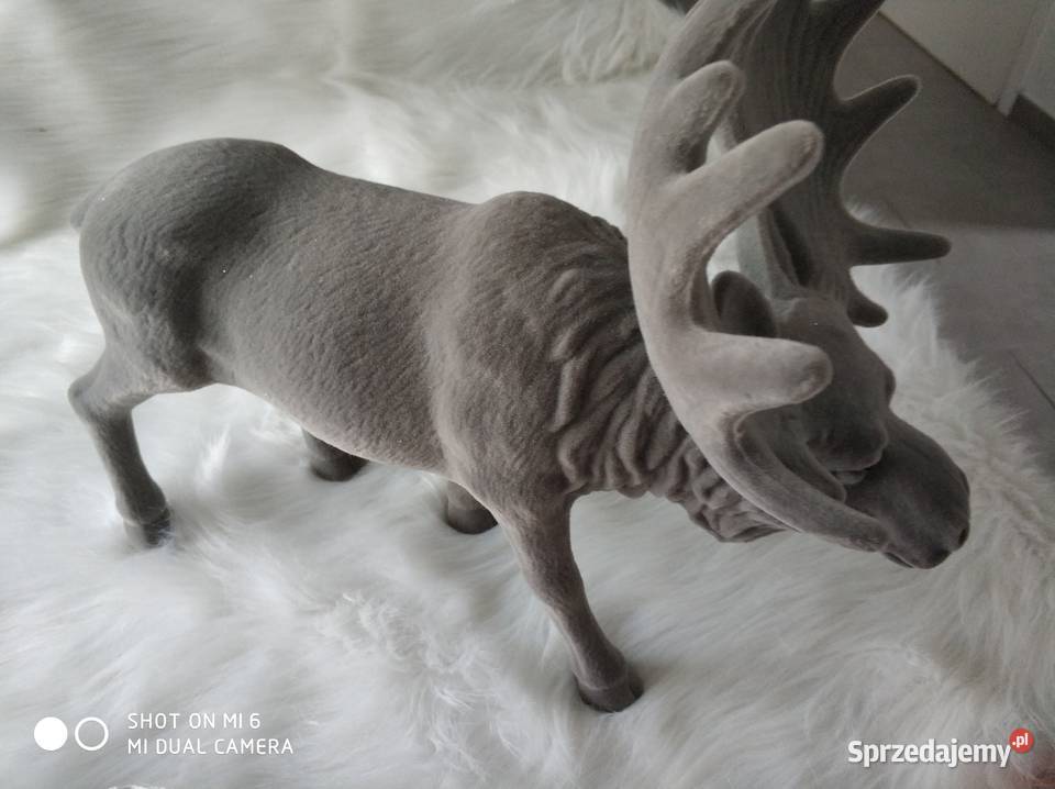 ŁOŚ AKSAMITNY SZARY Straszęcin