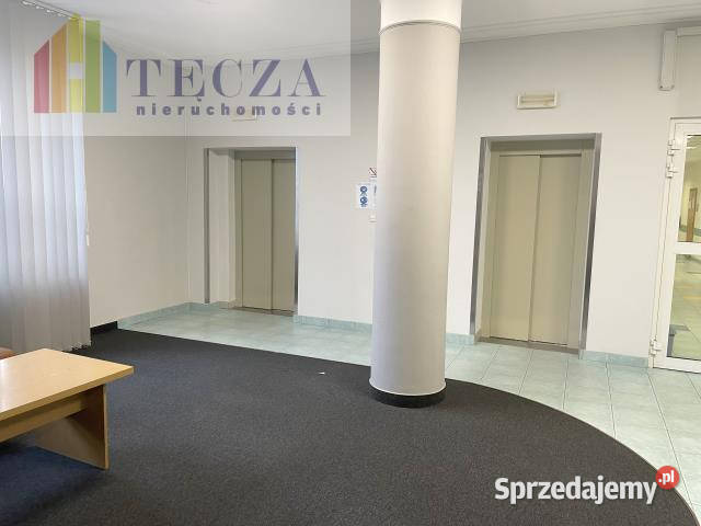 wynajmu lokalu 15m2 Warszawa Świętokrzyska mazowieckie